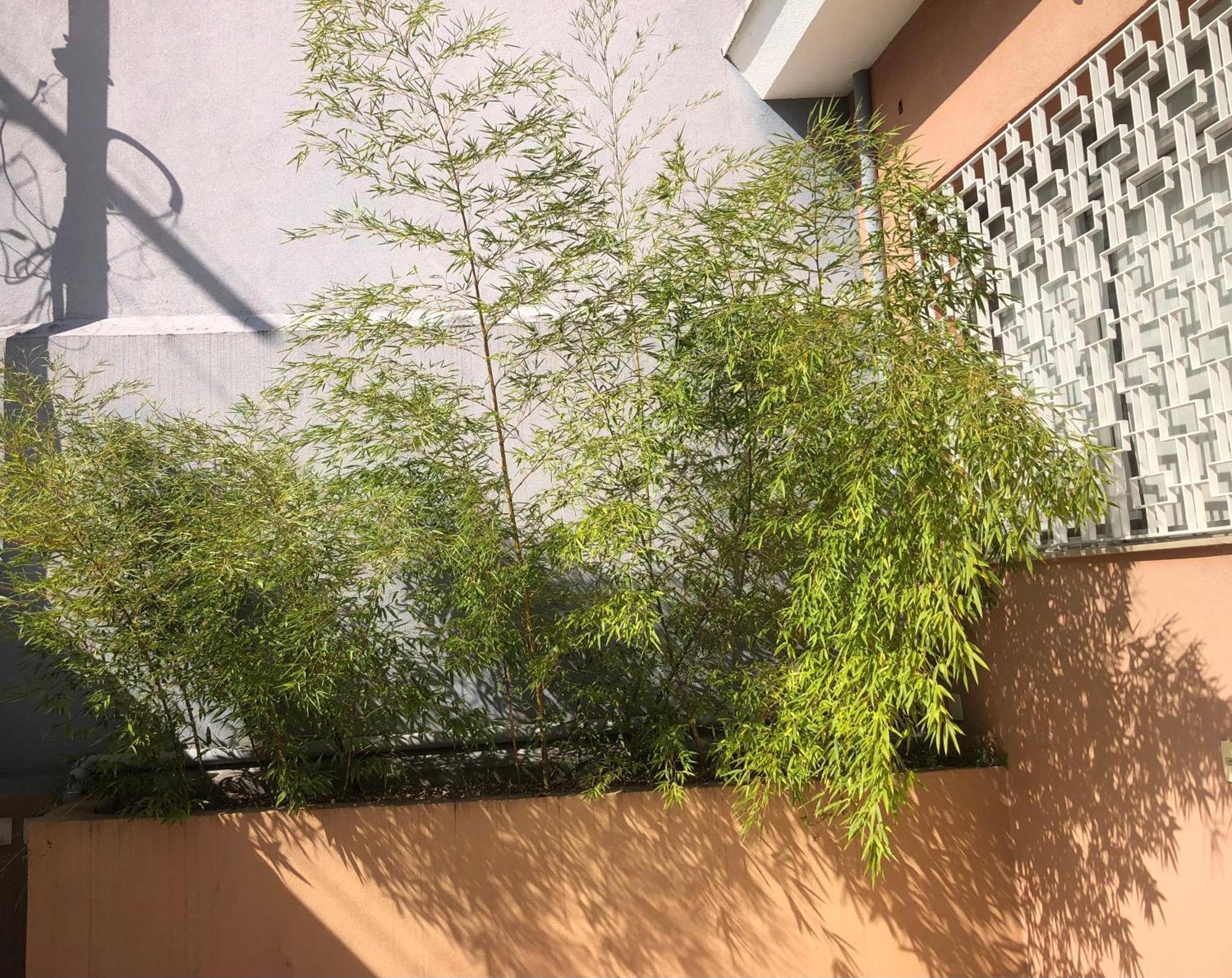 Hostel Martina, Suite 100M Spexpo ساو باولو المظهر الخارجي الصورة