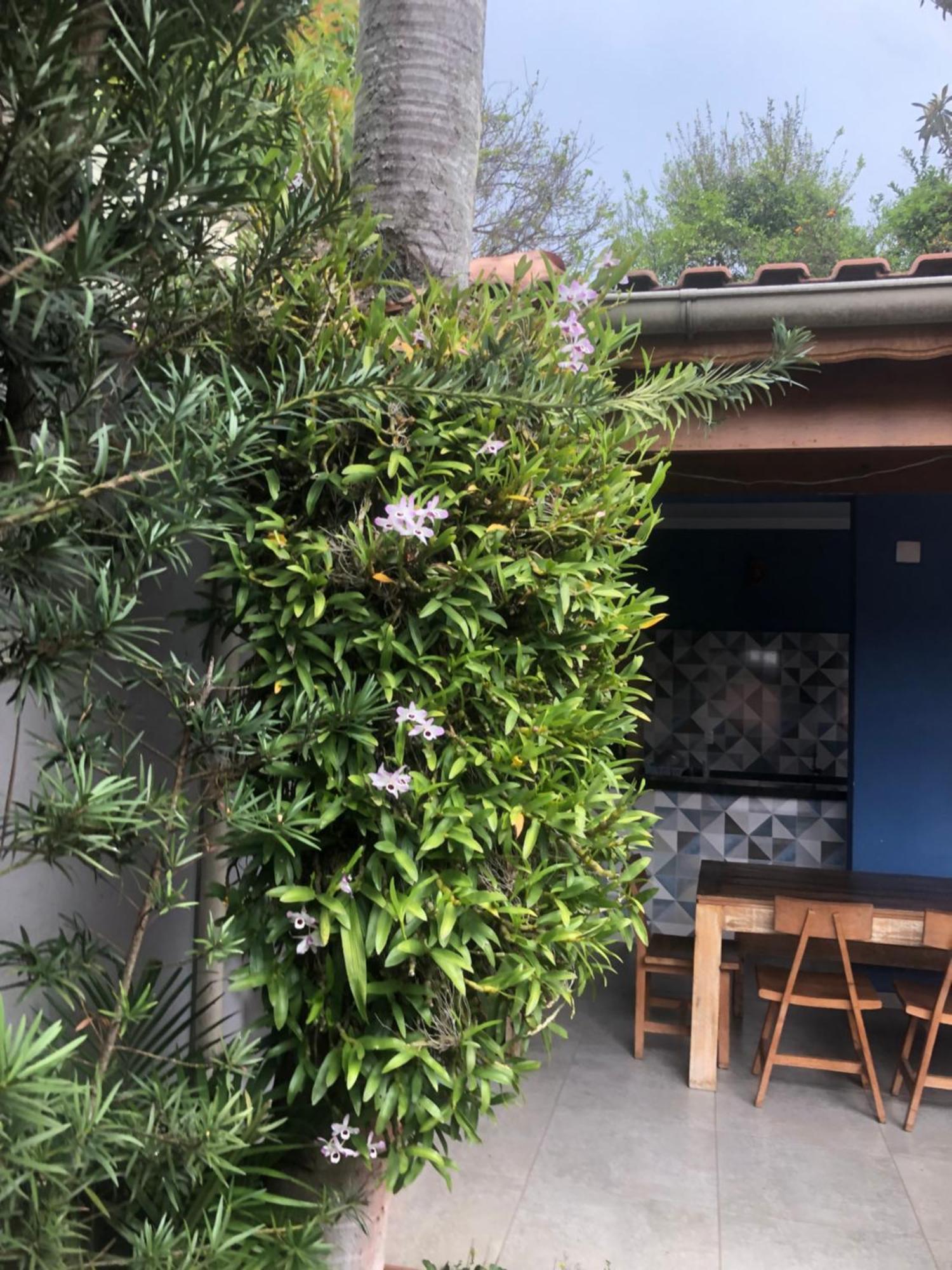 Hostel Martina, Suite 100M Spexpo ساو باولو المظهر الخارجي الصورة