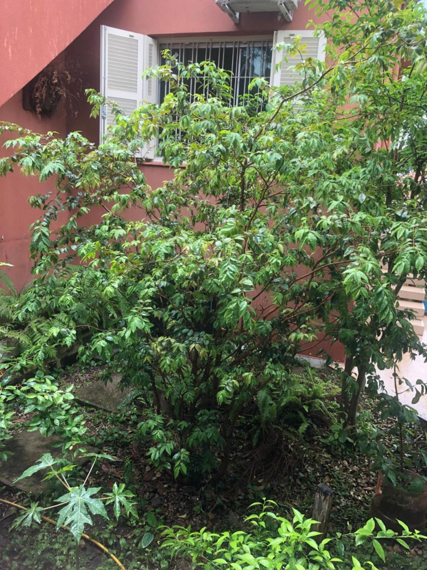 Hostel Martina, Suite 100M Spexpo ساو باولو المظهر الخارجي الصورة